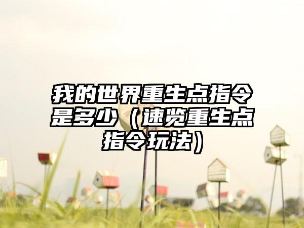 我的世界重生点指令是多少（速览重生点指令玩法）
