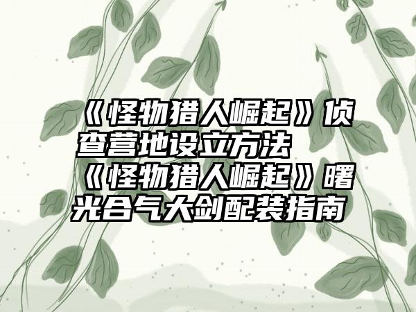 《怪物猎人崛起》侦查营地设立方法 《怪物猎人崛起》曙光合气大剑配装指南