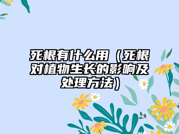 死根有什么用（死根对植物生长的影响及处理方法）