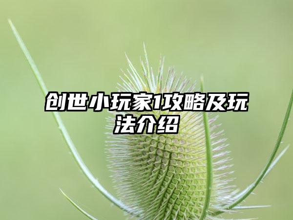 创世小玩家1攻略及玩法介绍