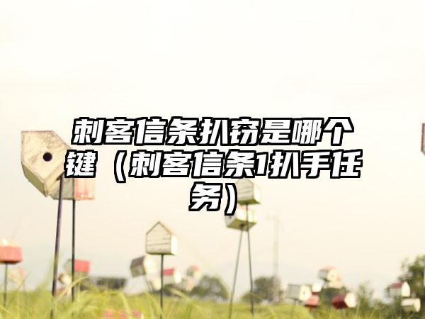 刺客信条扒窃是哪个键（刺客信条1扒手任务）