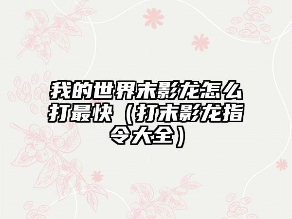 我的世界末影龙怎么打最快（打末影龙指令大全）