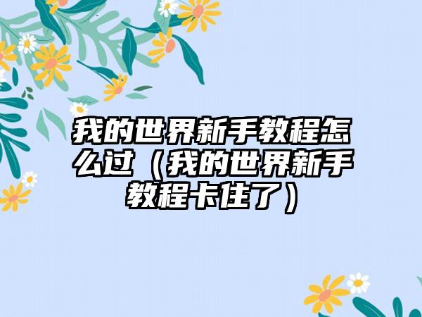 我的世界新手教程怎么过（我的世界新手教程卡住了）