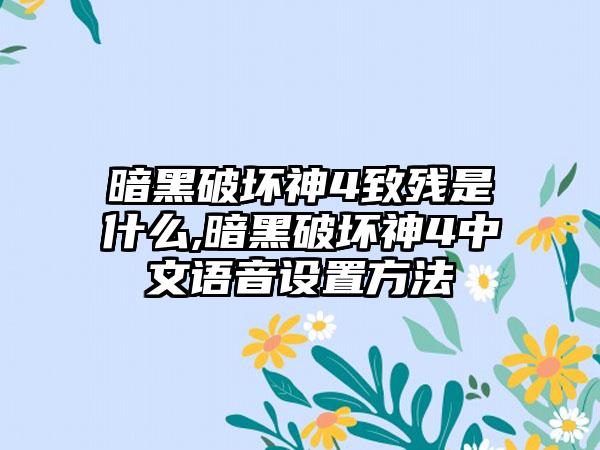 暗黑破坏神4致残是什么,暗黑破坏神4中文语音设置方法