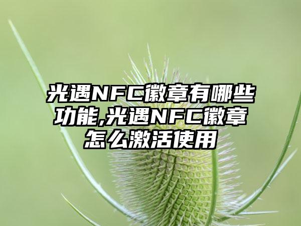 光遇NFC徽章有哪些功能,光遇NFC徽章怎么激活使用