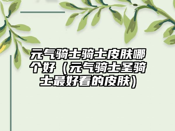 元气骑士骑士皮肤哪个好（元气骑士圣骑士最好看的皮肤）