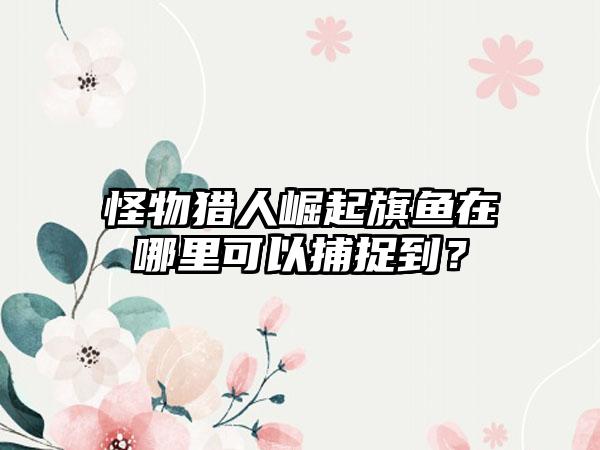 怪物猎人崛起旗鱼在哪里可以捕捉到？