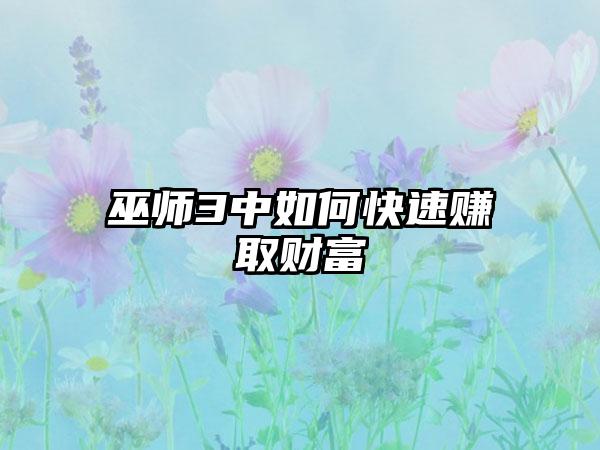 巫师3中如何快速赚取财富