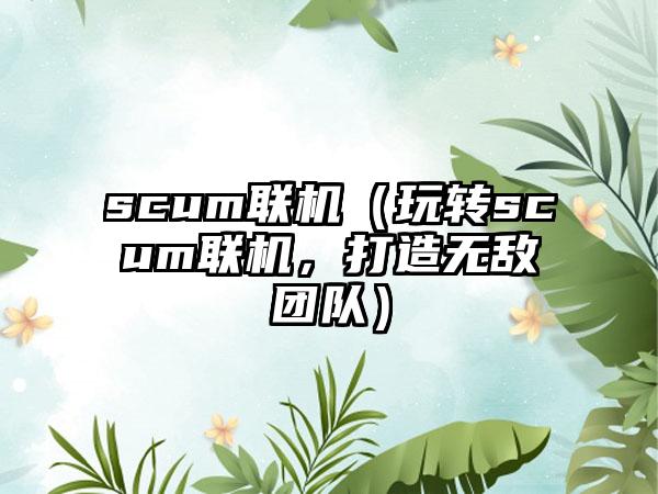 scum联机（玩转scum联机，打造无敌团队）