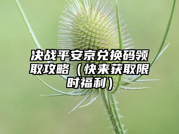 决战平安京兑换码领取攻略（快来获取限时福利）