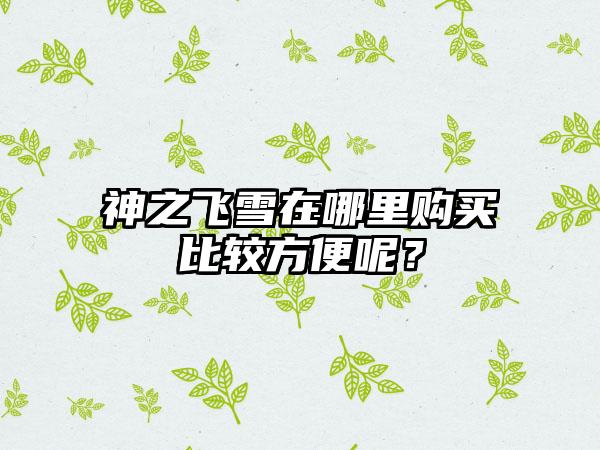 神之飞雪在哪里购买比较方便呢？