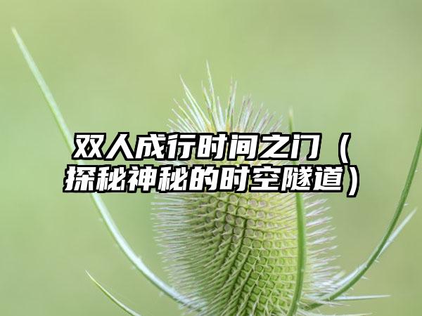 双人成行时间之门（探秘神秘的时空隧道）