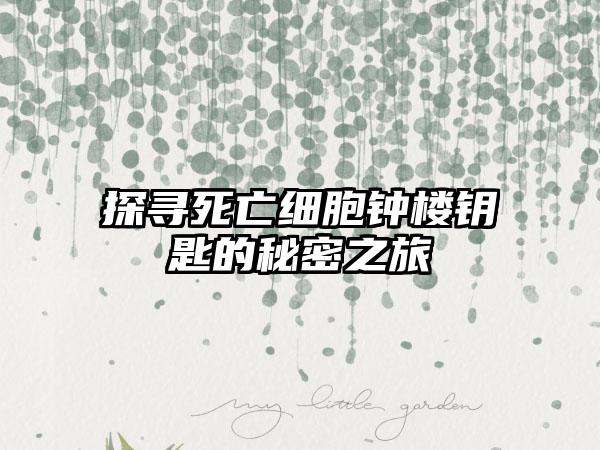 探寻死亡细胞钟楼钥匙的秘密之旅