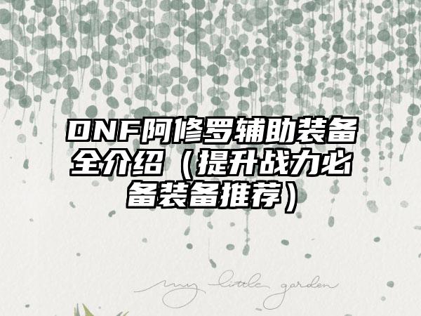 DNF阿修罗辅助装备全介绍（提升战力必备装备推荐）