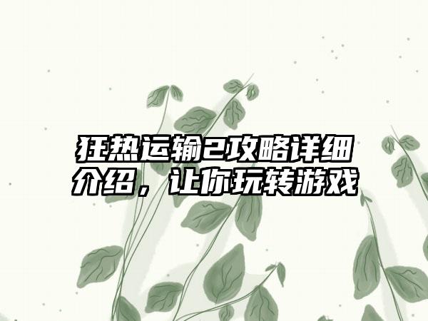 狂热运输2攻略详细介绍，让你玩转游戏