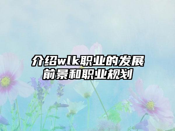 介绍wlk职业的发展前景和职业规划