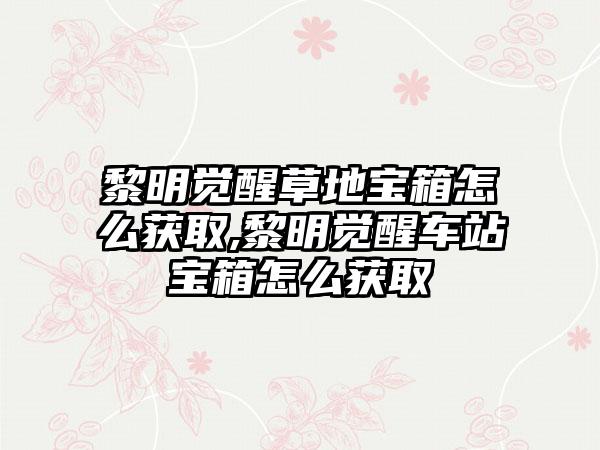 黎明觉醒草地宝箱怎么获取,黎明觉醒车站宝箱怎么获取