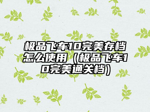 极品飞车10完美存档怎么使用（极品飞车10完美通关档）