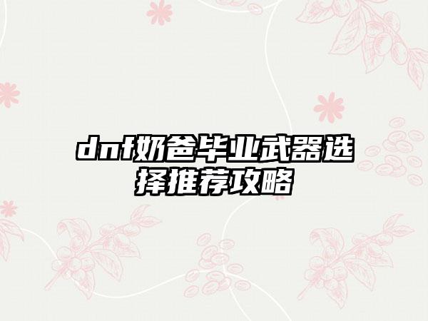 dnf奶爸毕业武器选择推荐攻略
