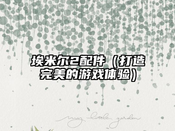 埃米尔2配件（打造完美的游戏体验）