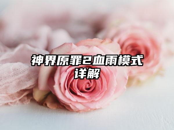 神界原罪2血雨模式详解