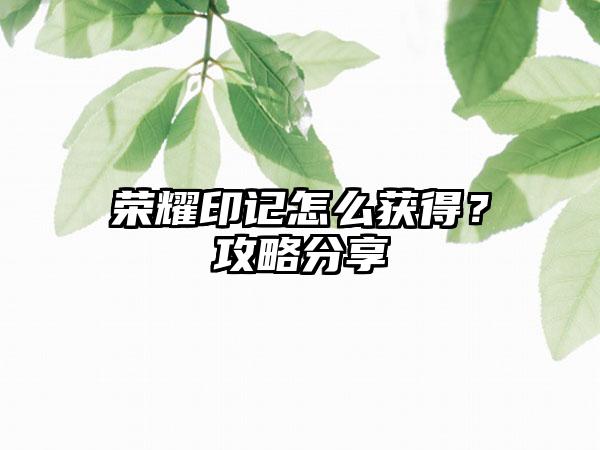 荣耀印记怎么获得？攻略分享