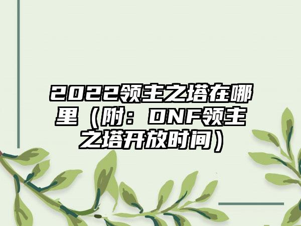 2022领主之塔在哪里（附：DNF领主之塔开放时间）