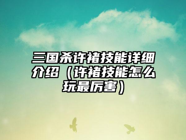 三国杀许褚技能详细介绍（许褚技能怎么玩最厉害）