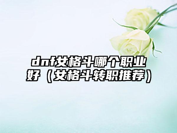 dnf女格斗哪个职业好（女格斗转职推荐）