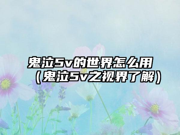 鬼泣5v的世界怎么用（鬼泣5v之视界了解）