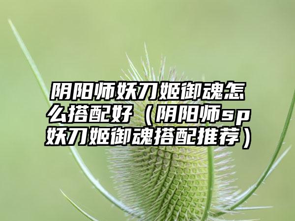 阴阳师妖刀姬御魂怎么搭配好（阴阳师sp妖刀姬御魂搭配推荐）