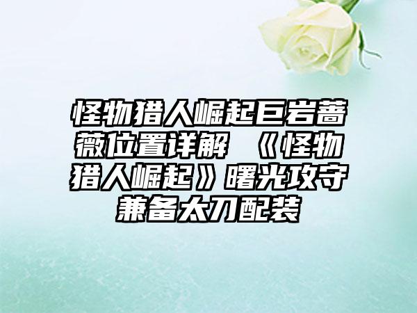 怪物猎人崛起巨岩蔷薇位置详解 《怪物猎人崛起》曙光攻守兼备太刀配装