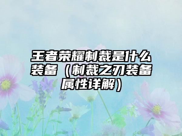 王者荣耀制裁是什么装备（制裁之刃装备属性详解）