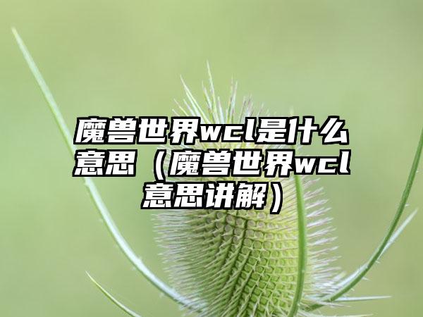 魔兽世界wcl是什么意思（魔兽世界wcl意思讲解）