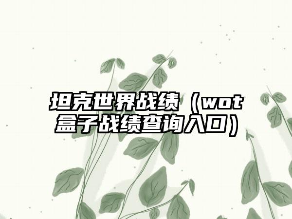 坦克世界战绩（wot盒子战绩查询入口）