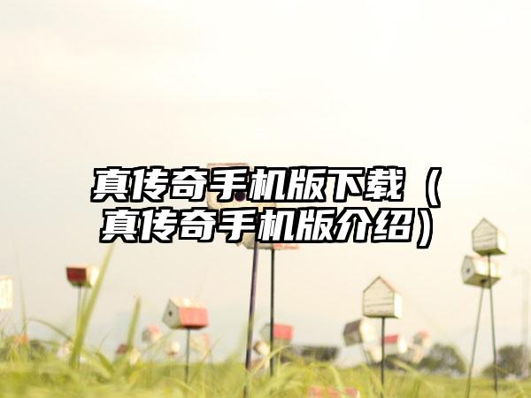 真传奇手机版（真传奇手机版介绍）