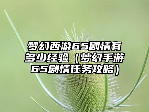 梦幻西游65剧情有多少经验(梦幻手游65剧情任务攻略)