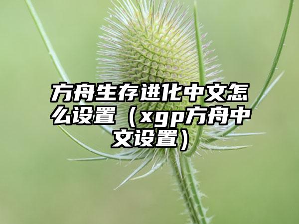方舟生存进化中文怎么设置（xgp方舟中文设置）