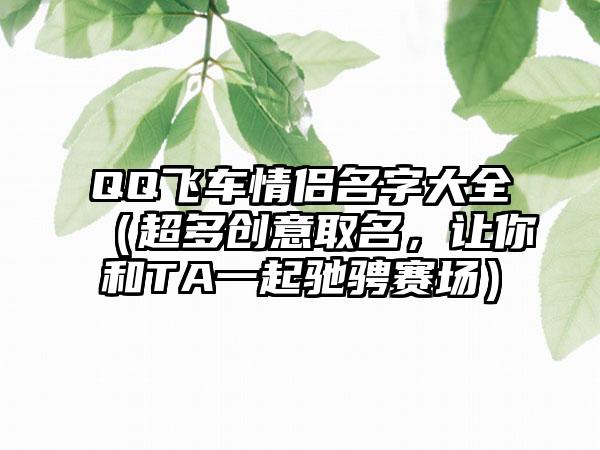QQ飞车情侣名字大全（超多创意取名，让你和TA一起驰骋赛场）