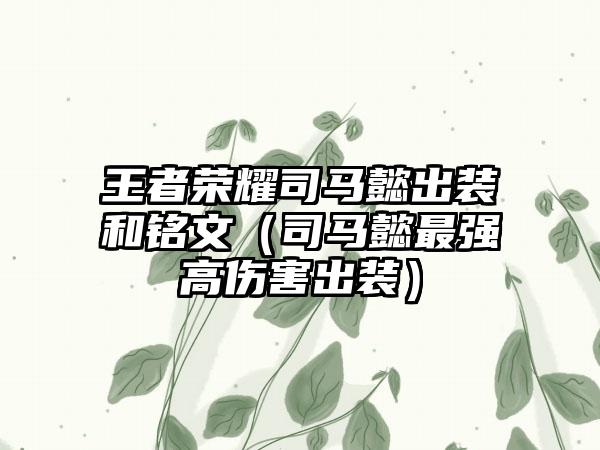 王者荣耀司马懿出装和铭文（司马懿最强高伤害出装）