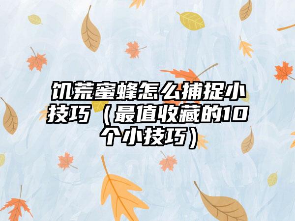 饥荒蜜蜂怎么捕捉小技巧（最值收藏的10个小技巧）