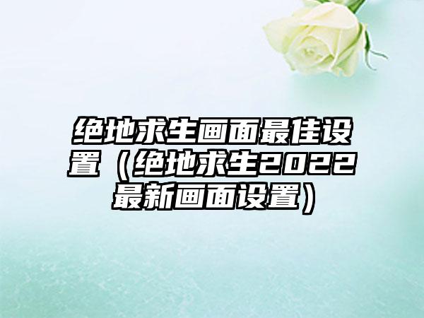 绝地求生画面最佳设置（绝地求生2022最新画面设置）