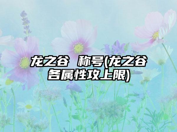 龙之谷 称号(龙之谷各属性攻上限)