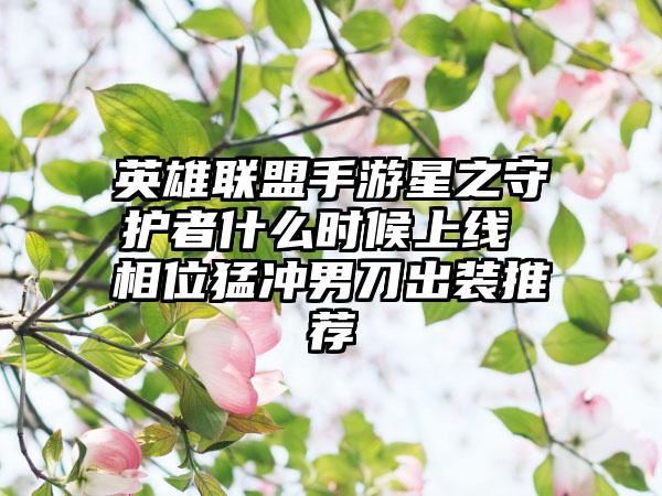英雄联盟手游星之守护者什么时候上线 相位猛冲男刀出装推荐