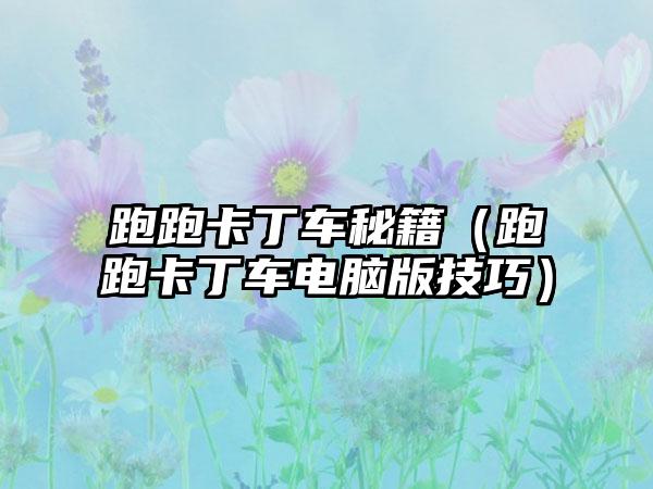 跑跑卡丁车秘籍（跑跑卡丁车电脑版技巧）