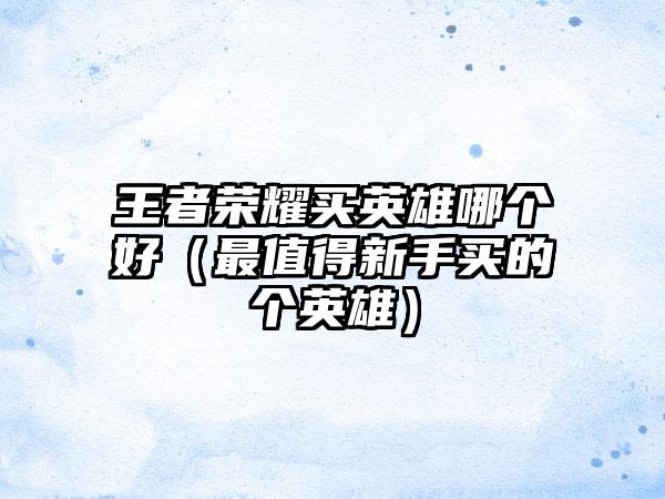 王者荣耀买英雄哪个好（最值得新手买的个英雄）