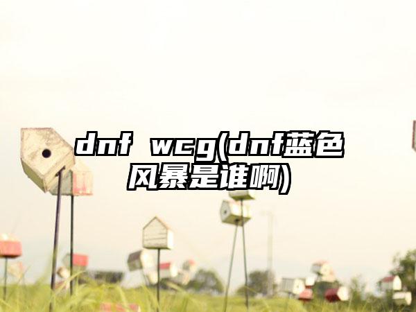 dnf wcg(dnf蓝色风暴是谁啊)
