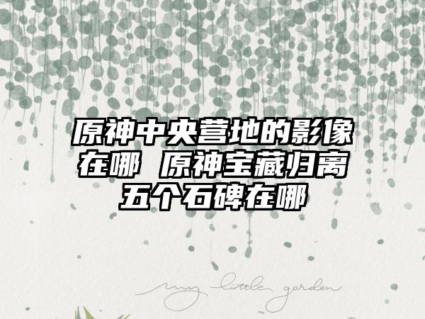 原神中央营地的影像在哪 原神宝藏归离五个石碑在哪