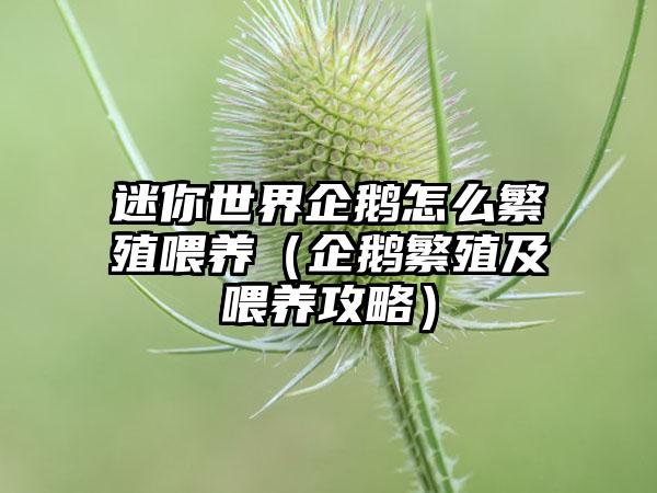 迷你世界企鹅怎么繁殖喂养（企鹅繁殖及喂养攻略）
