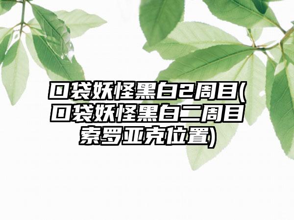 口袋妖怪黑白2周目(口袋妖怪黑白二周目索罗亚克位置)